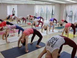 -酉嘉瑜伽YO+YOGA