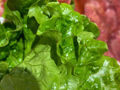 -喜来稀肉(北外滩白玉兰广场店)