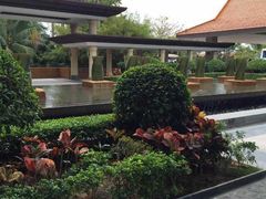 -三亚海棠湾万丽度假酒店