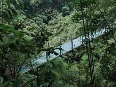-川西竹海景区