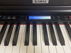 -秦川乐器(河西店)