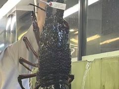 -海上人家The Sea Food Paradise Restaurant & Bar