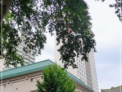 -南京钟山宾馆(江苏省会议中心)
