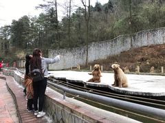 -贵州森林野生动物园