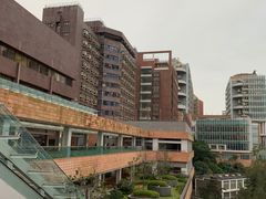 -香港大学