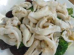-鲁前海沿儿