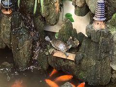 -丽江庭院·云南野生菌·海鲜火锅(鼓楼四合院店)