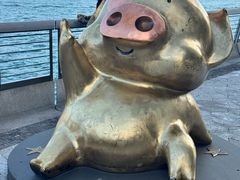 -星光大道