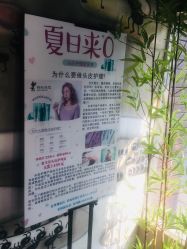 -蚂蚁造型沙龙