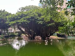 -九龙公园