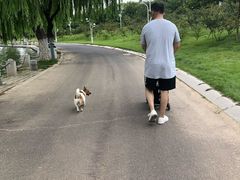 -济南国际园博园