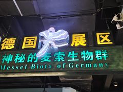 -辽宁古生物博物馆