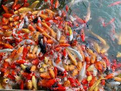 -泰安地下龙宫景区