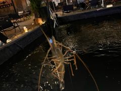 -DGE季风钓虾营地·团建·聚会