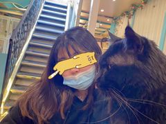 -猫小院猫主题咖啡厅(北锣店)