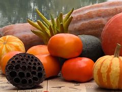 -三忘湖 SWANSEEN(柳荫公园店)