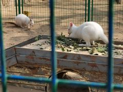 -北京野生动物园