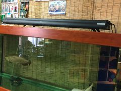-红山会健身·普拉提(广安门店)