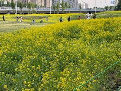 -长白岛森林公园