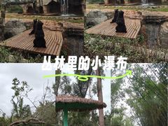 -海南热带野生动植物园