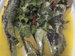 -掌勺人鱼馆(朝阳镇店)