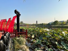 -西海子公园