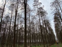 -渌洋湖湿地公园