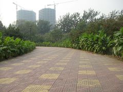 小路-北京石景山游乐园