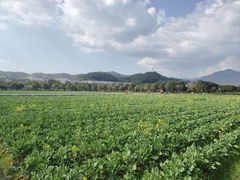 -古田会议纪念馆