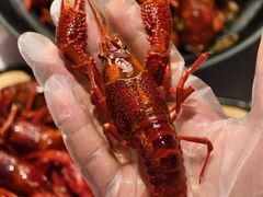 -肥肥虾庄·金牌油焖大虾(汉街SKP店)