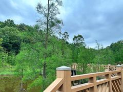 -神光山国家森林公园