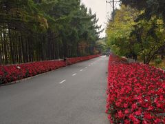 -黑龙江省森林植物园