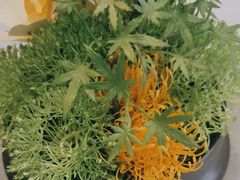 -沪碟·精菜坊(闵行店)