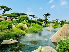 -罗红摄影艺术馆