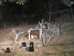 -清迈夜间动物园