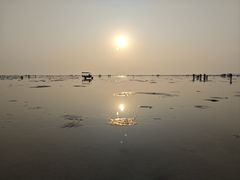 -北海金海湾红树林生态旅游区