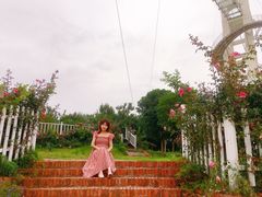 -武汉紫薇都市田园