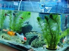 -三旗百汇商品城