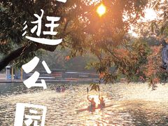 -晓港公园