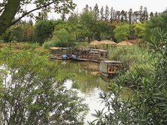 -上海长兴岛郊野公园