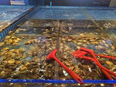 -焰江山海鲜牛排烤肉自助(锦华万达二星店)