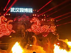 -武汉园博园(武汉自然博物馆)