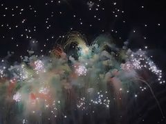 -花博汇(知音花月夜)