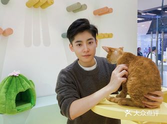 成都探店|开启撸猫模式