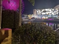 -琴岛之星摩天轮