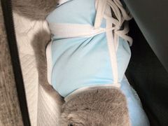 -宠福鑫康馨动物医院·骨科·眼科