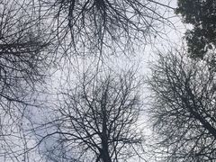 -同里国家湿地公园