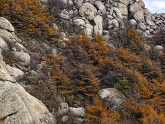 -崂山巨峰游览区