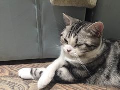 -小时光咖啡馆(开森度假森林店)