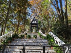 -上海佘山国家森林公园西佘山园